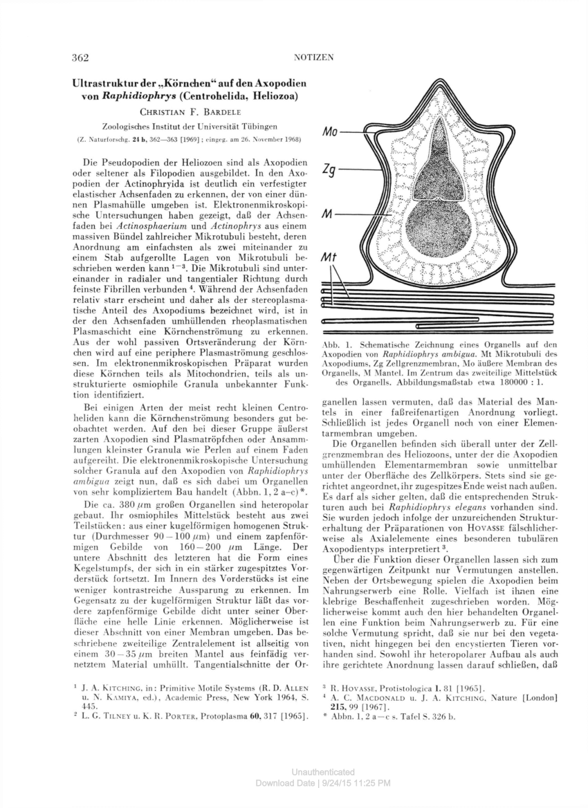 Pdf Notizen Ultrastruktur Der Kornchen Auf Den Axopodien Von Raphidiophrys Centrohelida Heliozoa