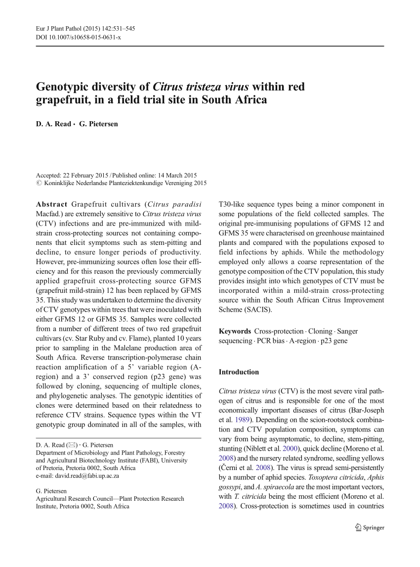 Pdf Genotypic Diversity Of Citrus Tristeza Virus Within Red Grapefruit In A Field Trial Site In South Africa