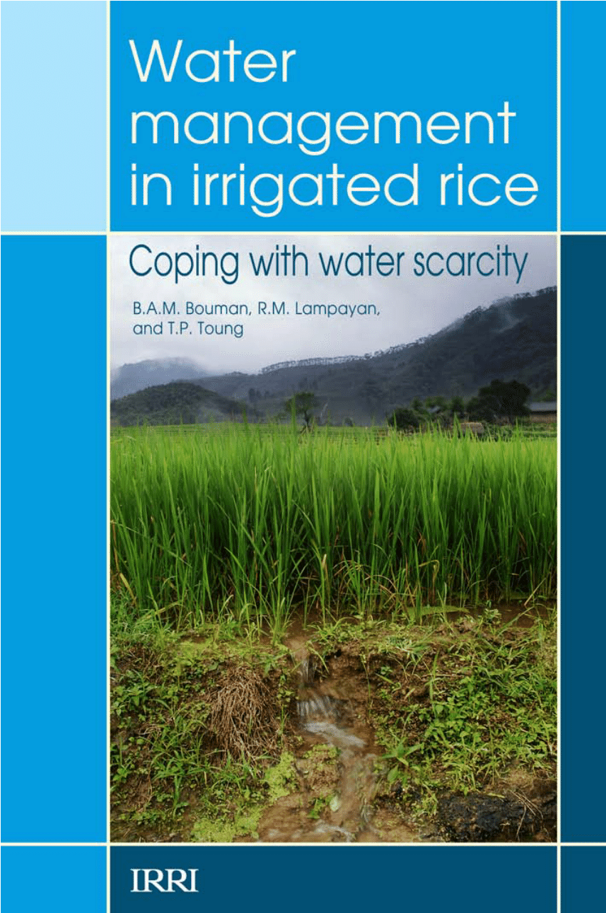 rice water research paper