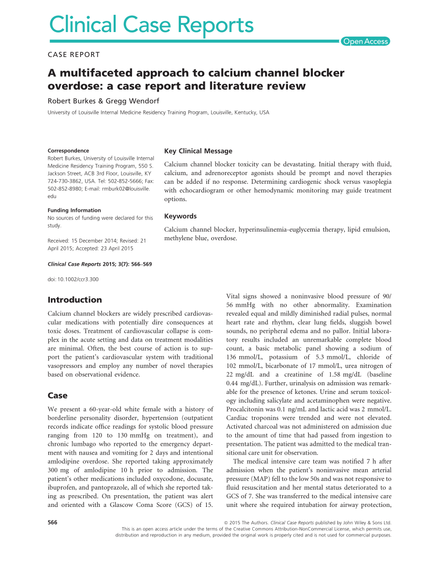 multifaceted approach literature review