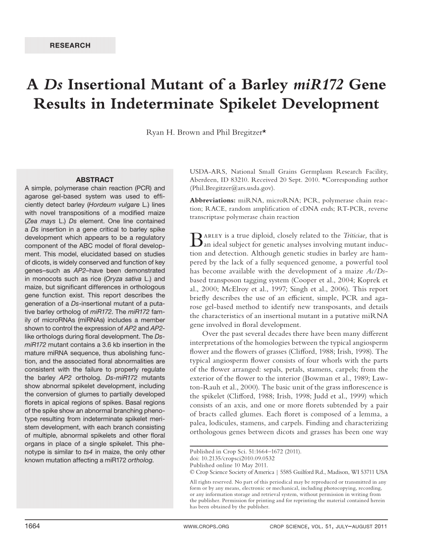 Pdf A Ds Insertional Mutant Of A Barley Mir172 Gene Results In Indeterminate Spikelet Development - quem é o pai de barley no brawl stars