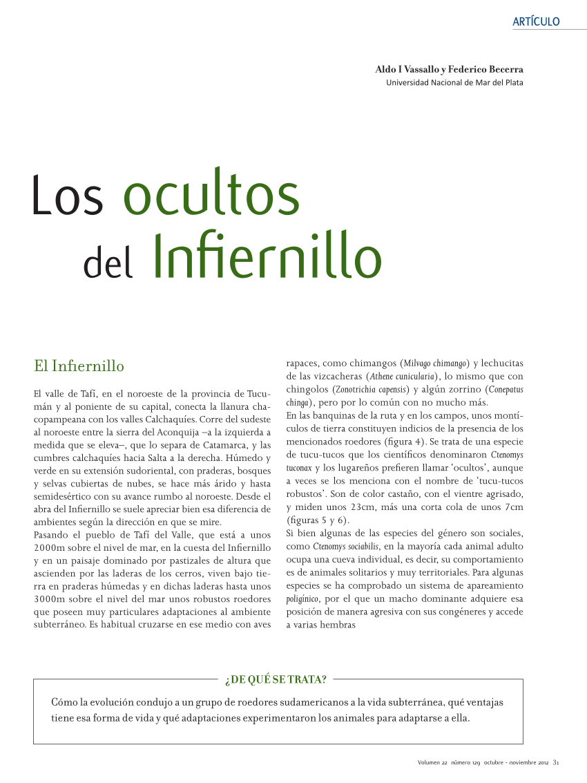 Qué es un infiernillo