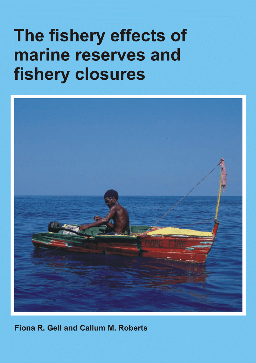 PDF) Status and Management of the Marine Protected Areas in Madagascar