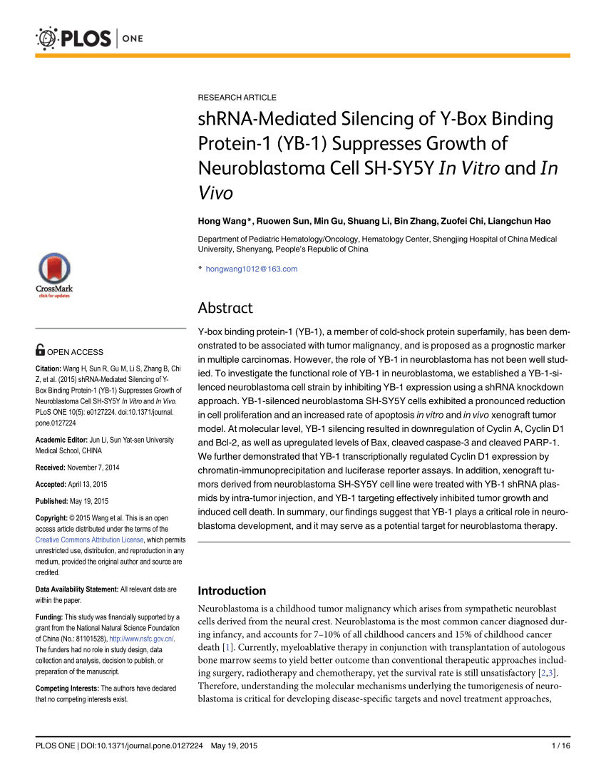 (PDF) shRNA-Mediated Silencing of Y-Box Binding Protein-1 