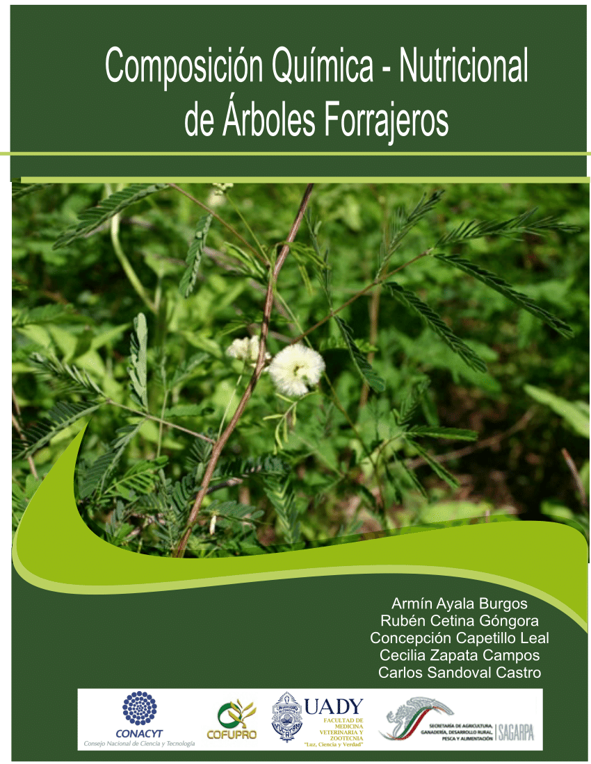 PDF) Composición Química-Nutricional de Árboles Forrajeros