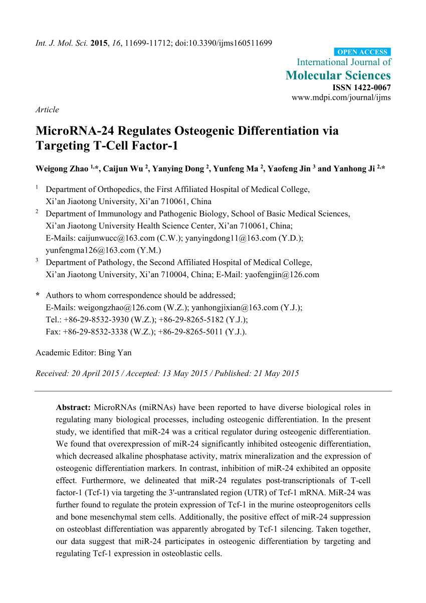 Pdf Microrna 24 Regulates Osteogenic Differentiation Via Targeting T Cell Factor 1