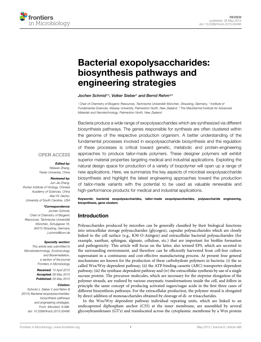 Pdf Bacterial Exopolysaccharides Biosynthesis Pathways And Engineering Strategies