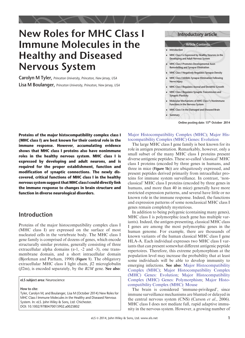 Pdf New Roles For Mhc Class I Immune Molecules In The Healthy And