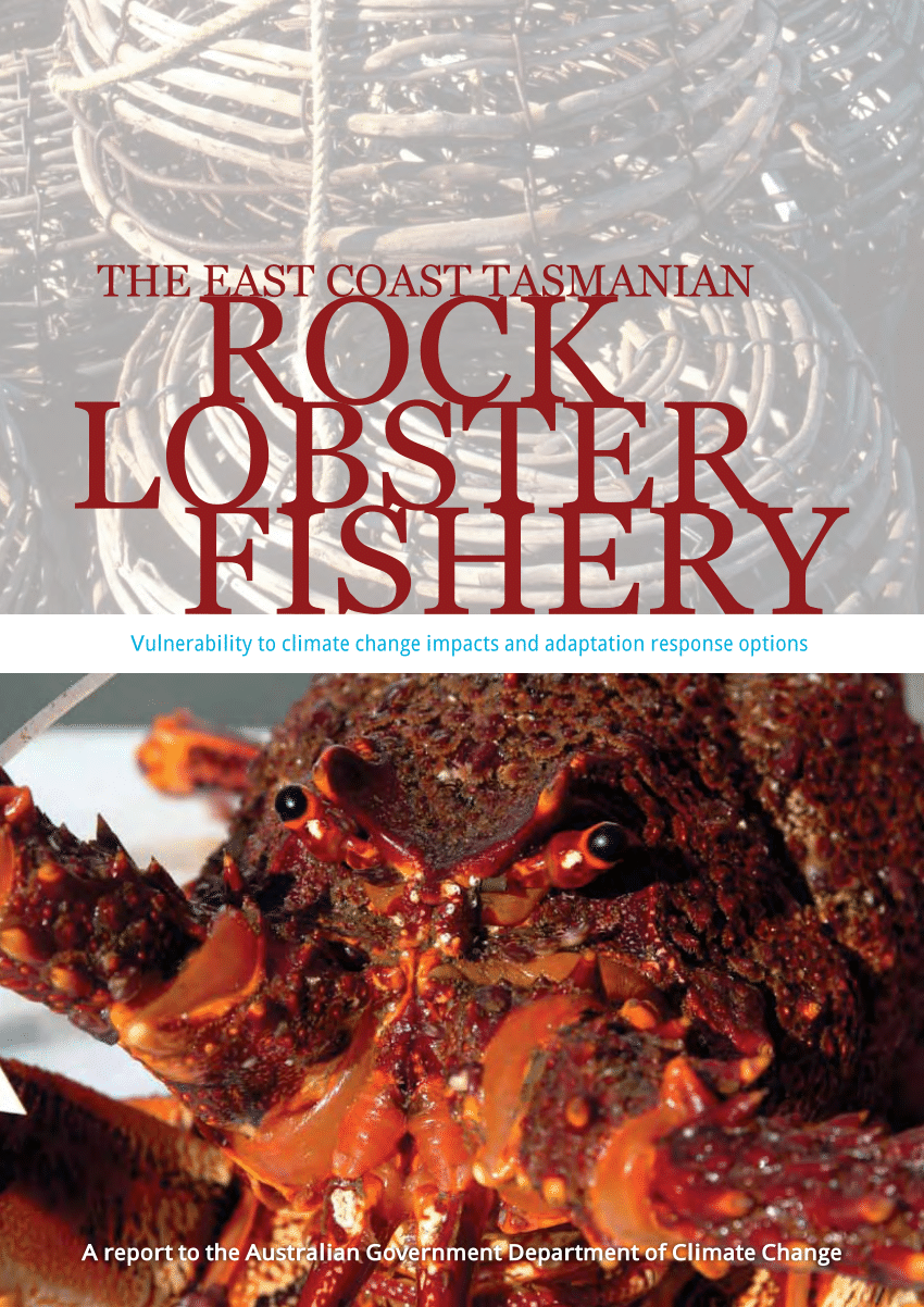 (PDF) The East Coast Tasmanian Rock Lobster Fishery—Vulnerability to ...