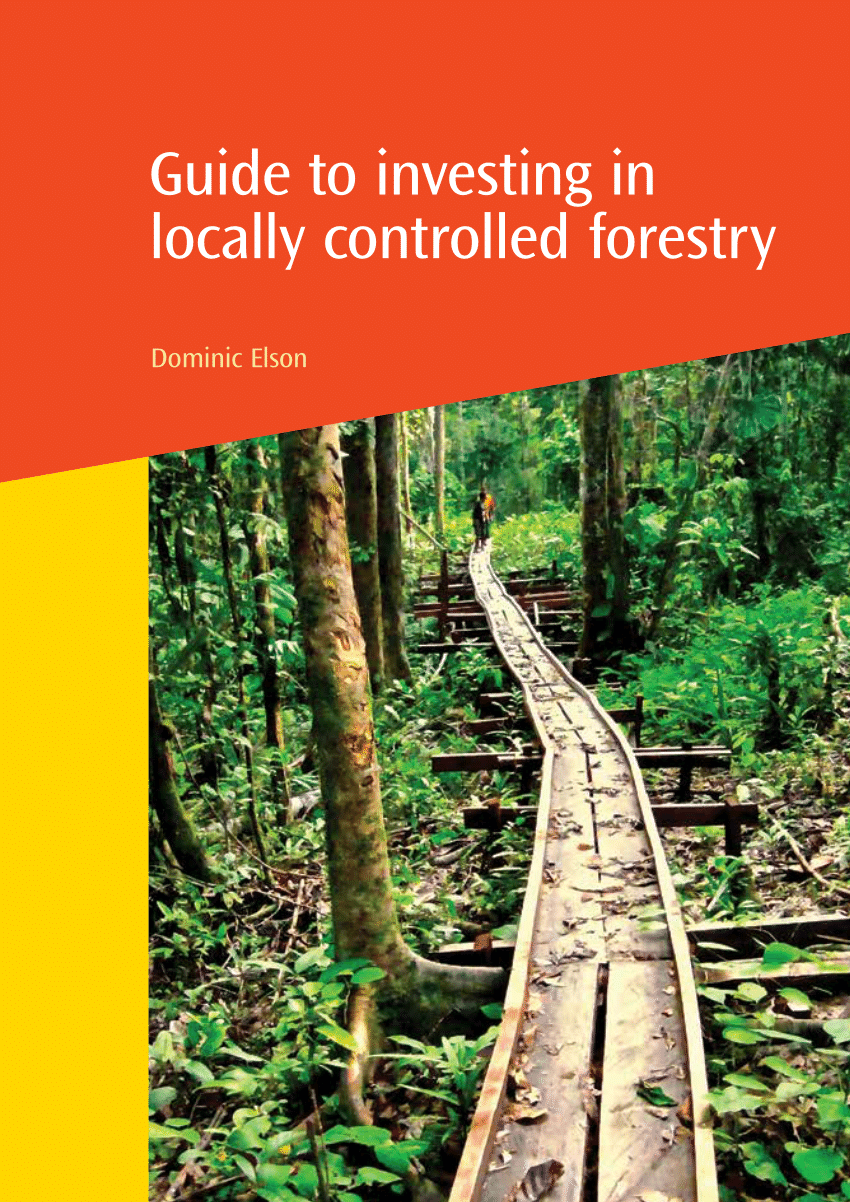 Investing in locally controlled forestry supply 4 investing rules to live by