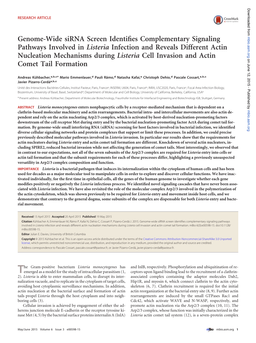 PDF) Genome-Wide siRNA Screen Identifies Complementary Signaling Pathways  Involved in Listeria Infection and Reveals Different Actin Nucleation  Mechanisms during Listeria Cell Invasion and Actin Comet Tail Formation