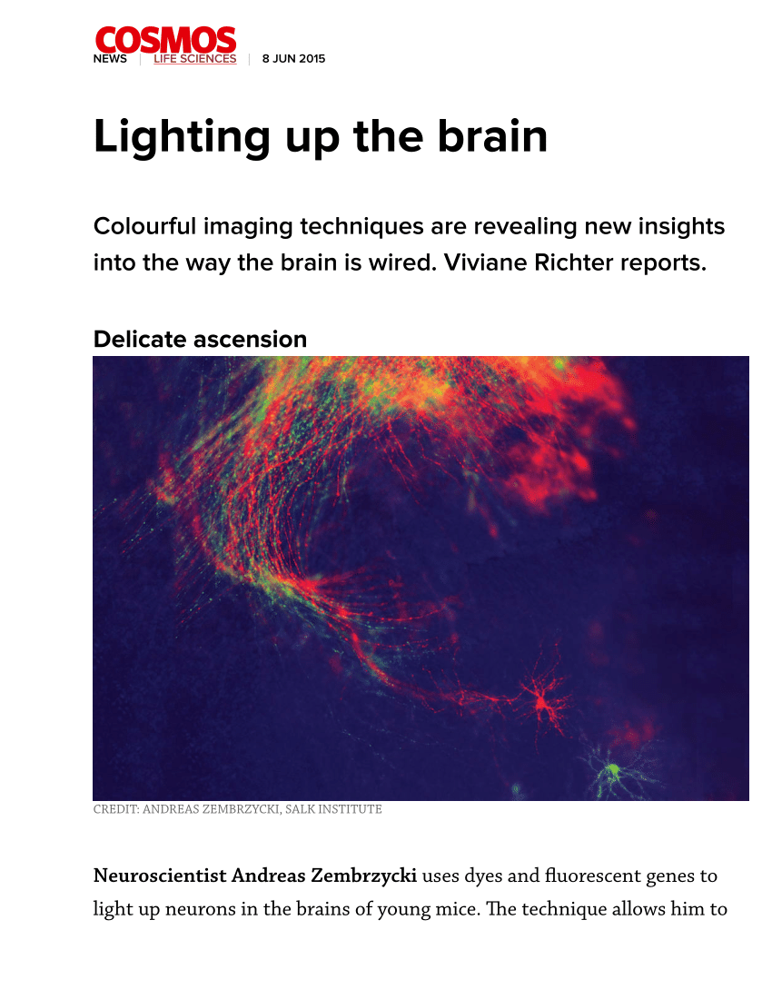 Pdf Lighting Up The Brain Cosmos Magazine