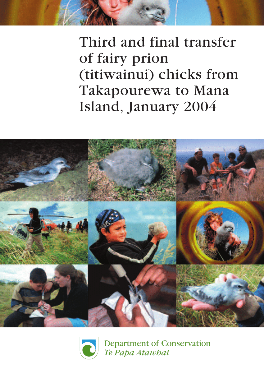 PDF) Third and final transfer of fairy prion (titiwainui) chicks ...