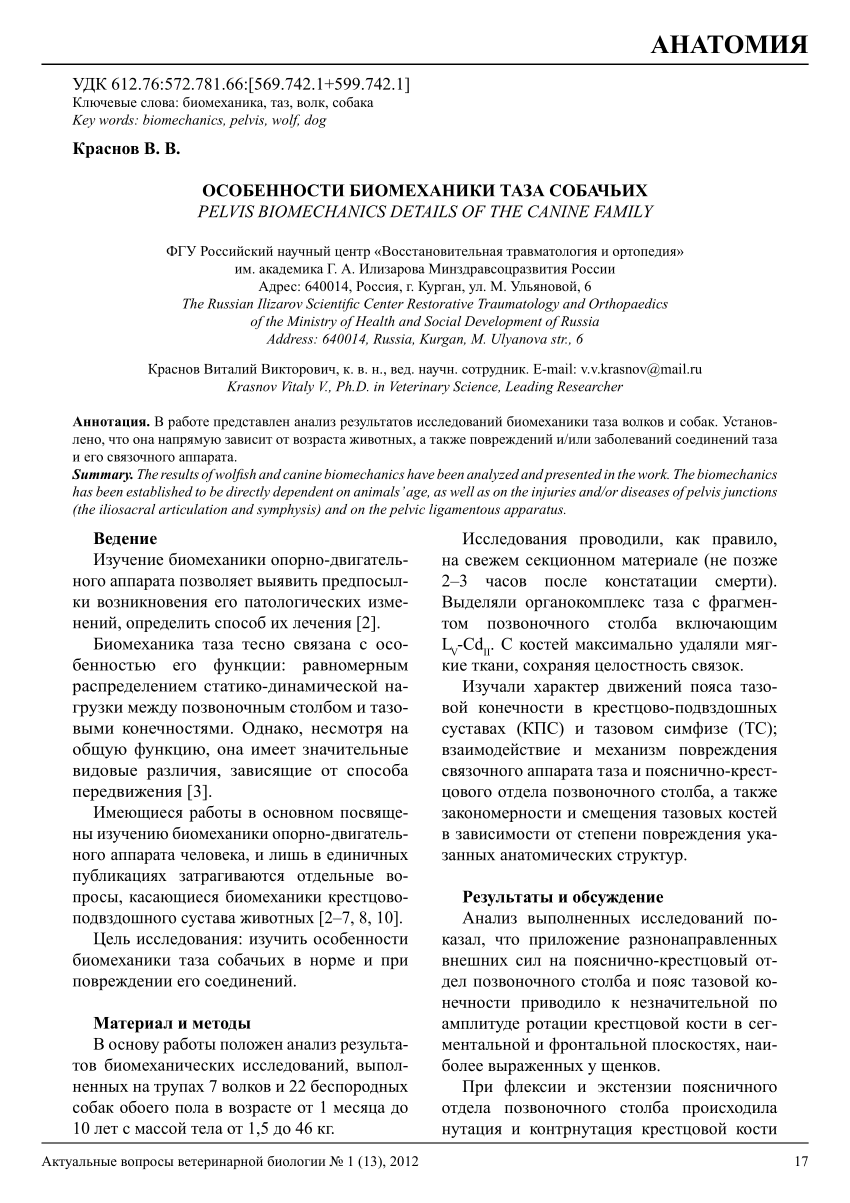 PDF) Pelvis Biomechanics details of the canine family