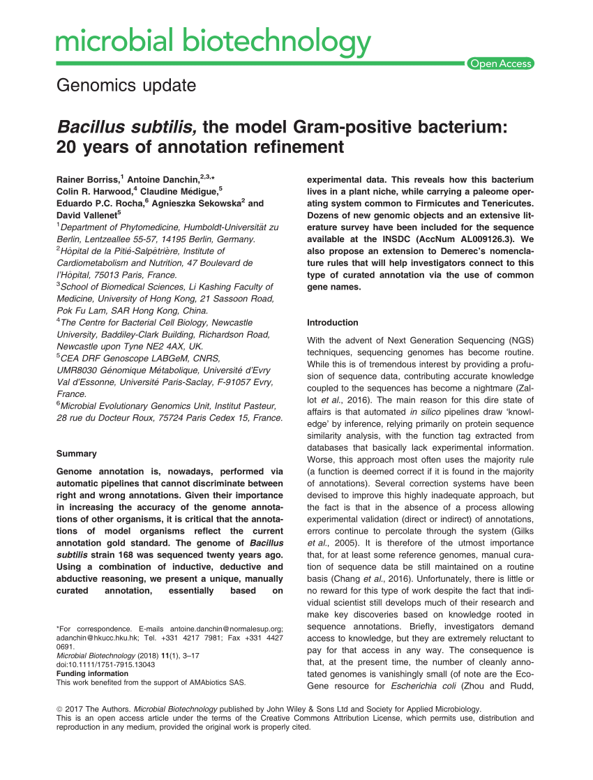 Pdf Bacillus Subtilis