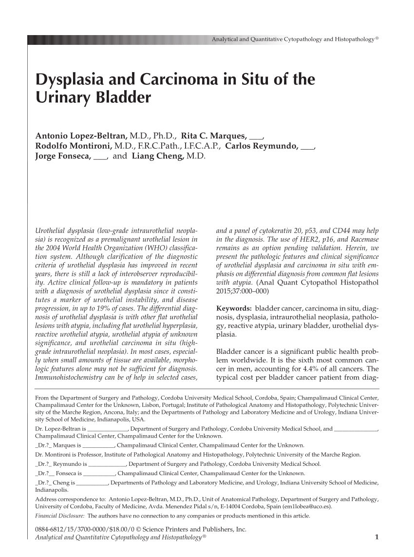 (PDF) Dysplasia and Carcinoma in Situ of the Urinary Bladder