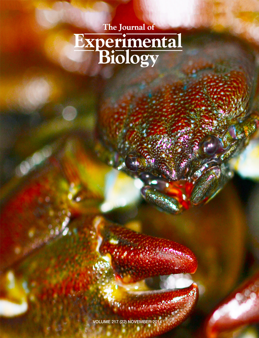 indian journal of experimental biology subscription details