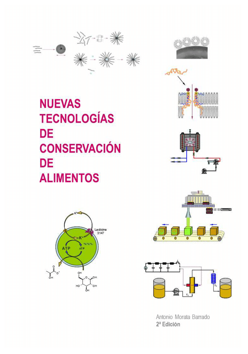 Pdf Nuevas Tecnologias De Conservacion De Alimentos 2010 2ed Resumen