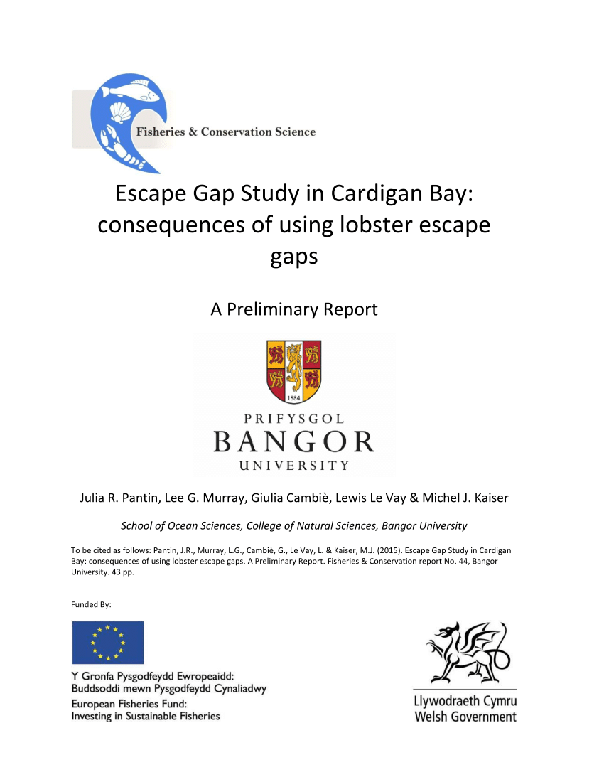PDF) Escape Gap Study in Cardigan Bay: consequences of using ...