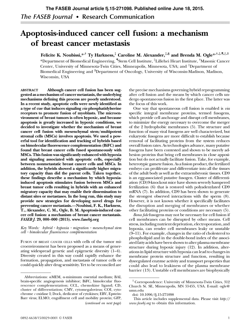 PDF) Apoptosis-induced cancer cell fusion: A mechanism of breast cancer  metastasis