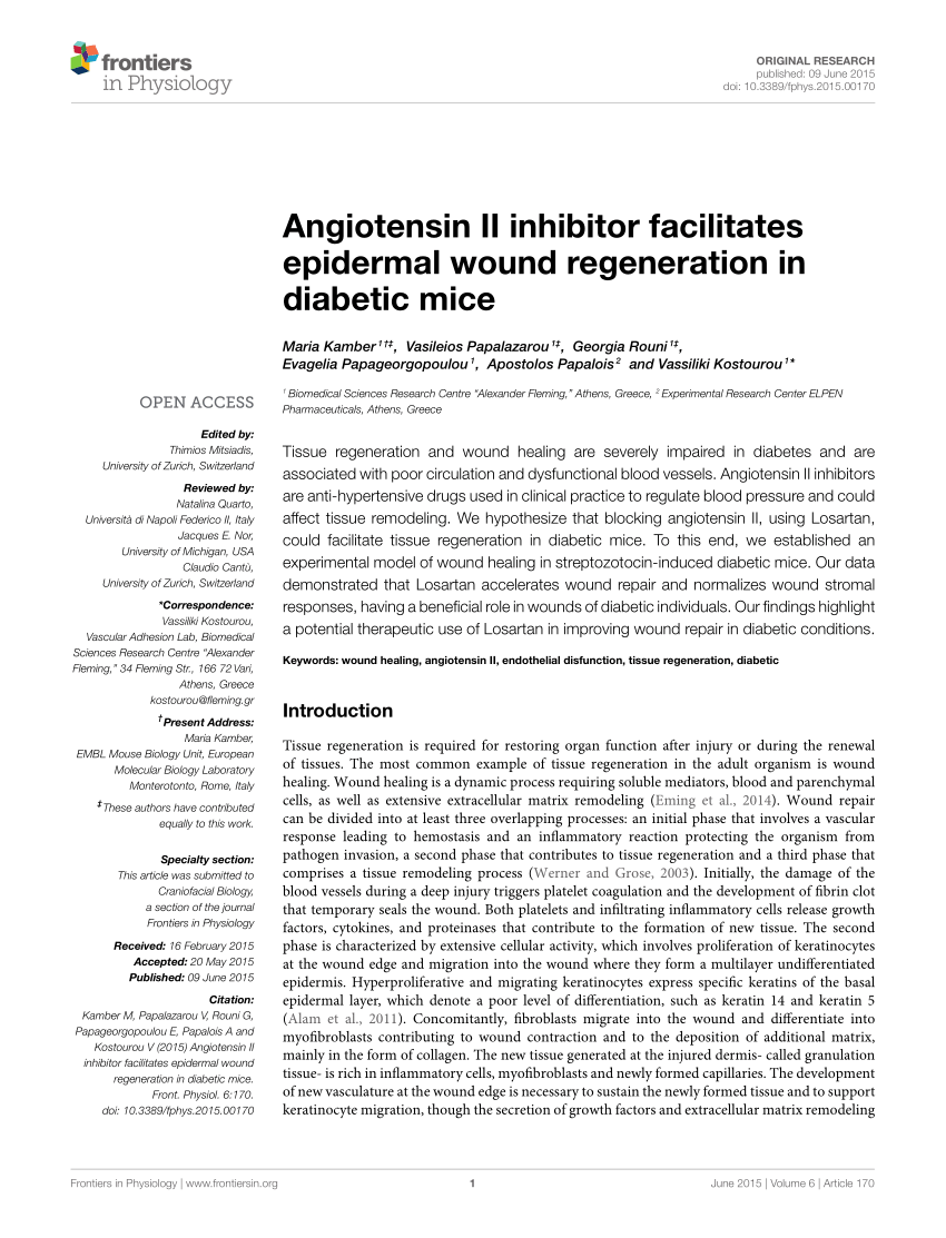 Frontiers  Effect of the renin-angiotensin system on the exacerbation of  adrenal glucocorticoid steroidogenesis in diabetic mice: Role of  angiotensin-II type 2 receptor