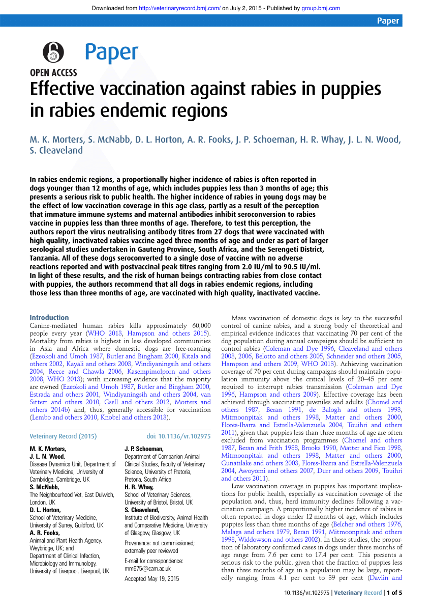 Pdf Effective Vaccination Against Rabies In Puppies In Rabies Endemic Regions