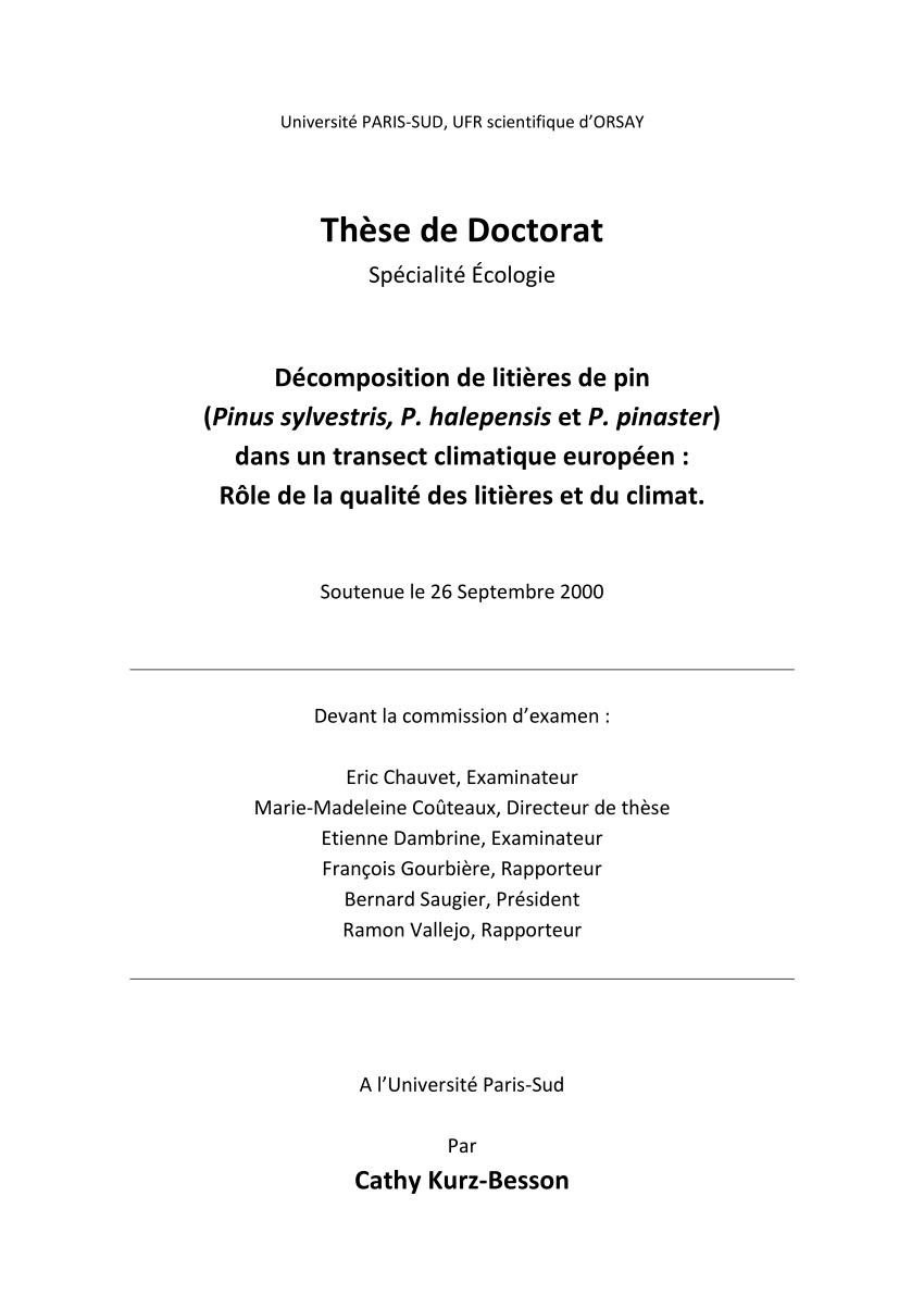 phd thesis france