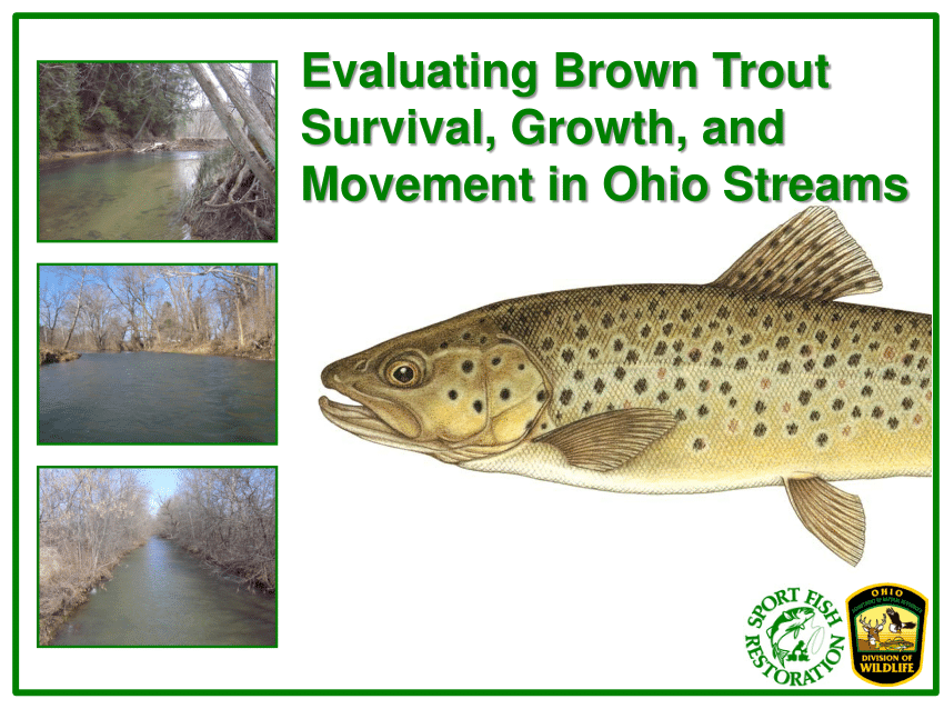 (PDF) Providing Angling Opportunities Stocked Brown Trout Survival