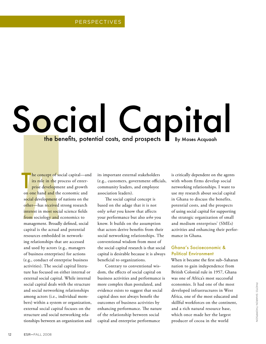 pdf-social-capital-the-benefits-potential-costs-and-prospects