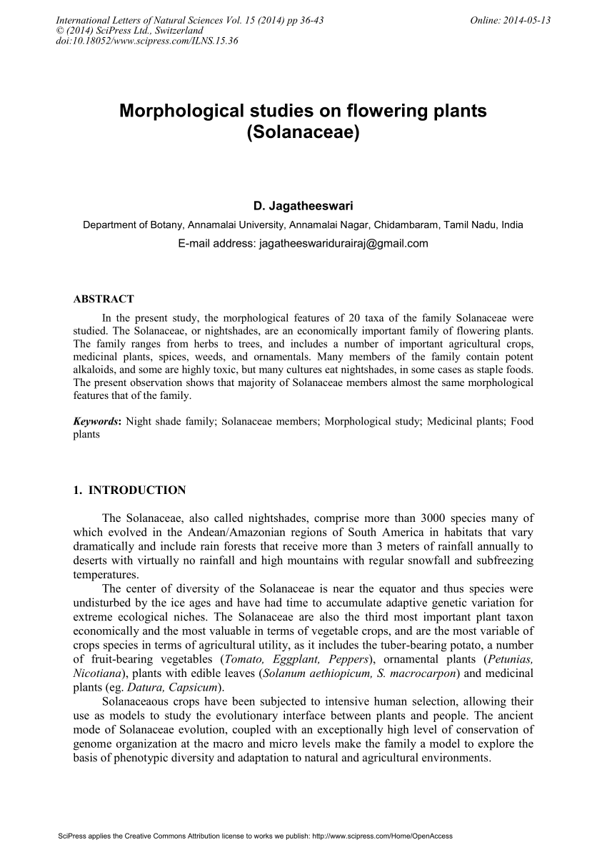 Exploring the significance of morphological diversity for