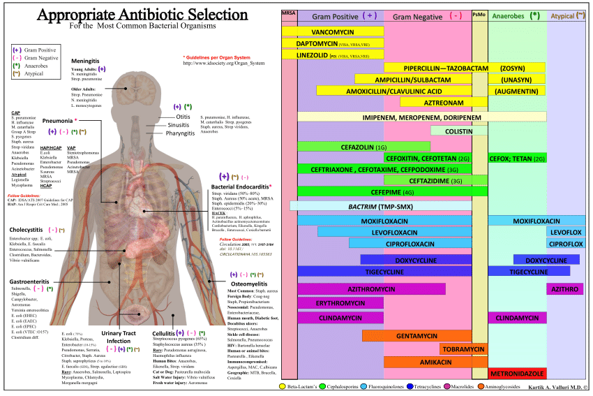 Chart Of Antibiotics And Their Uses