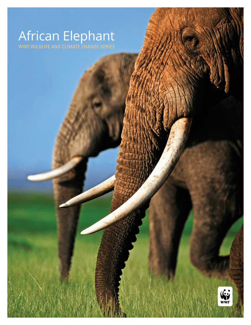 (PDF) African elephant - WWF wildlife and climate change series