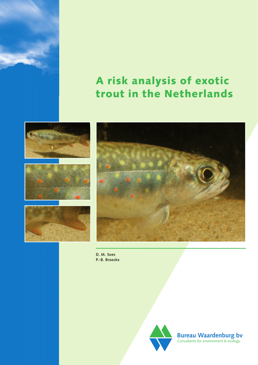 Spiksplinternieuw PDF) A risk analysis of exotic trout in the Netherlands AB-25