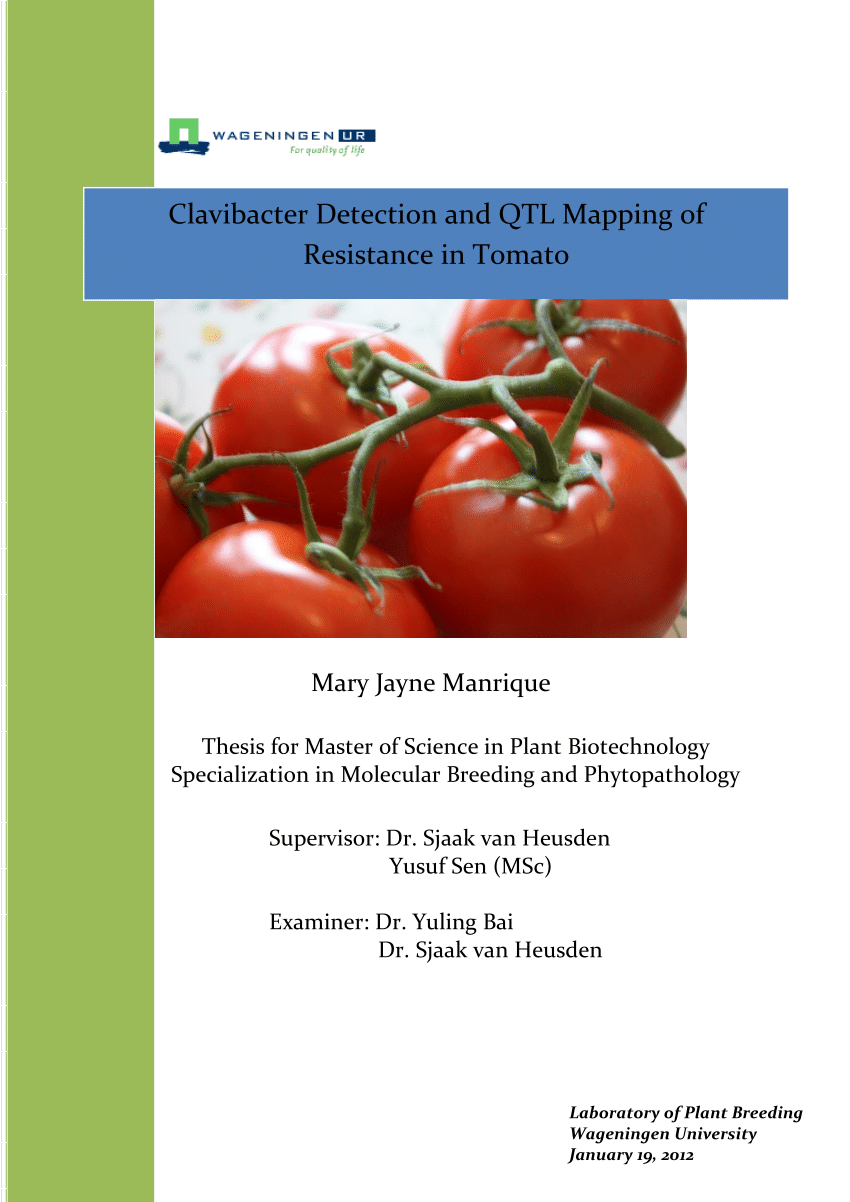tomato thesis pdf