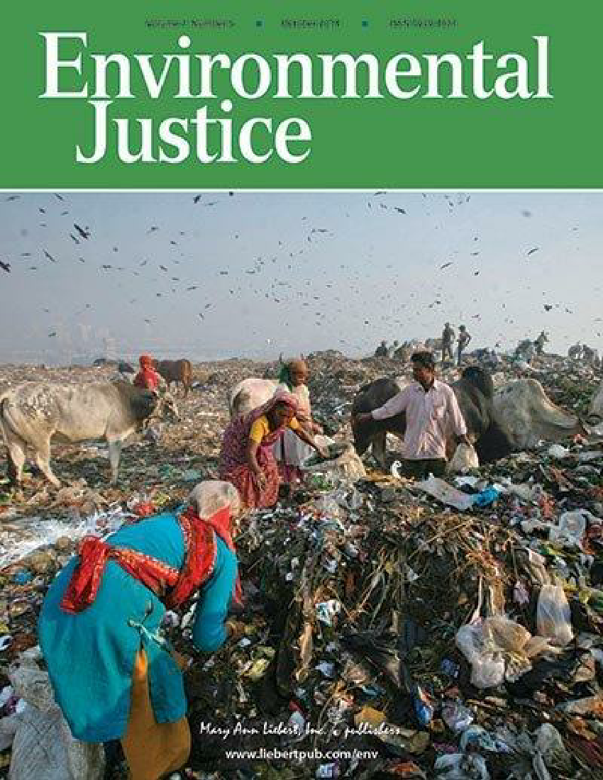 environmental justice in india essay