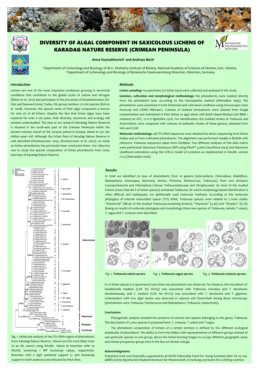 algal diversity research paper