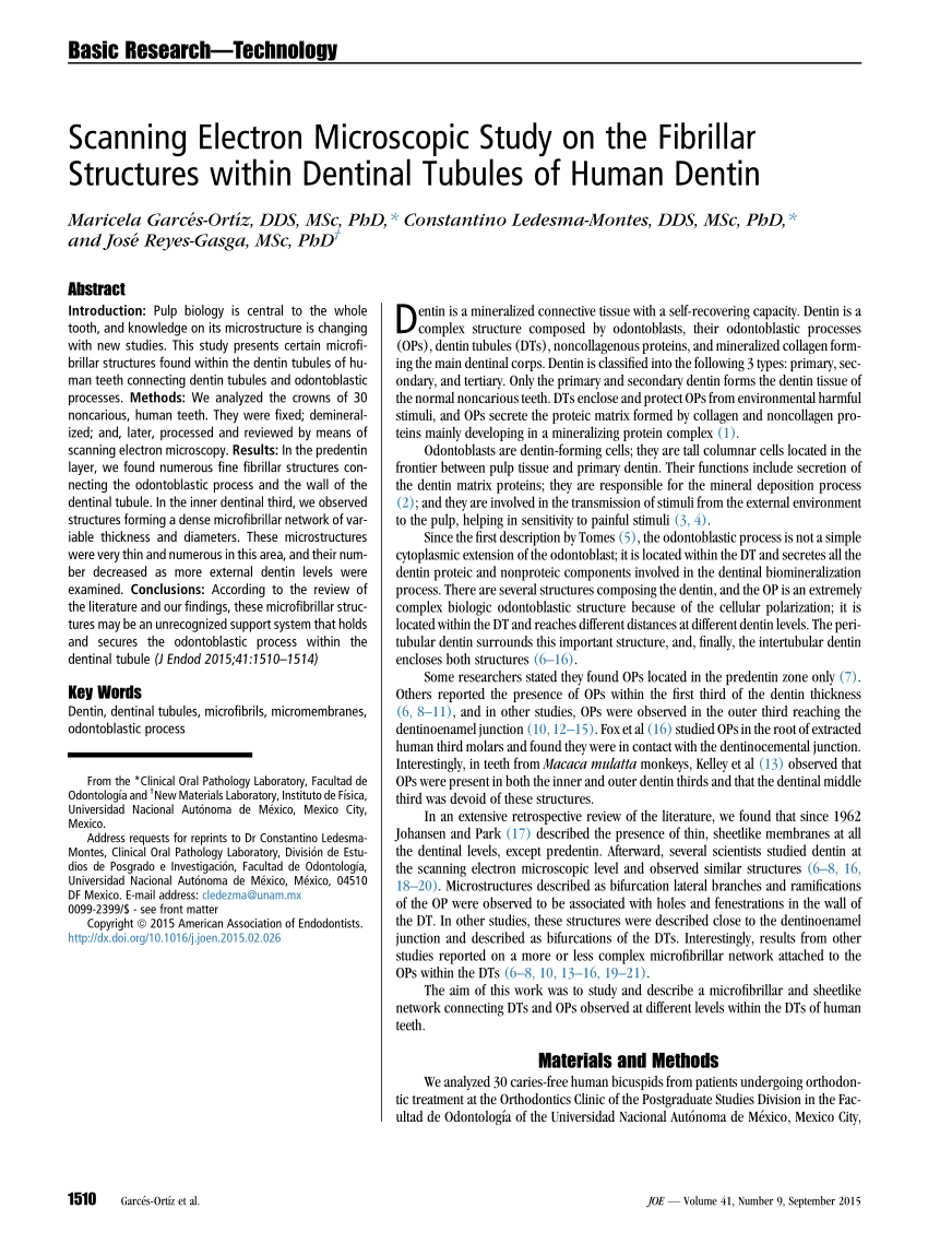 Pdf Scanning Electron Microscopic Study On The Fibrillar Structures Within Dentinal Tubules Of Human Dentin
