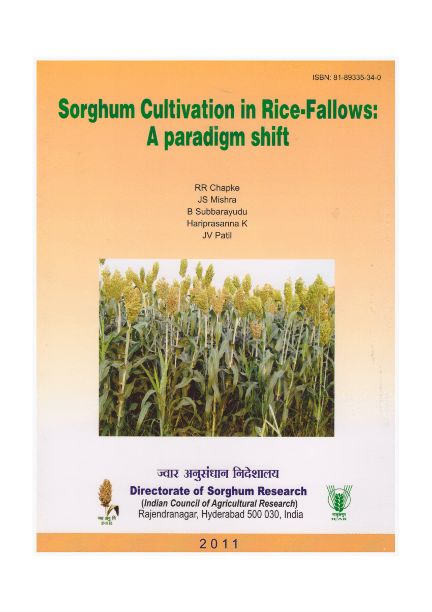 Pdf Rabi Sorghum Cultivation In Rice