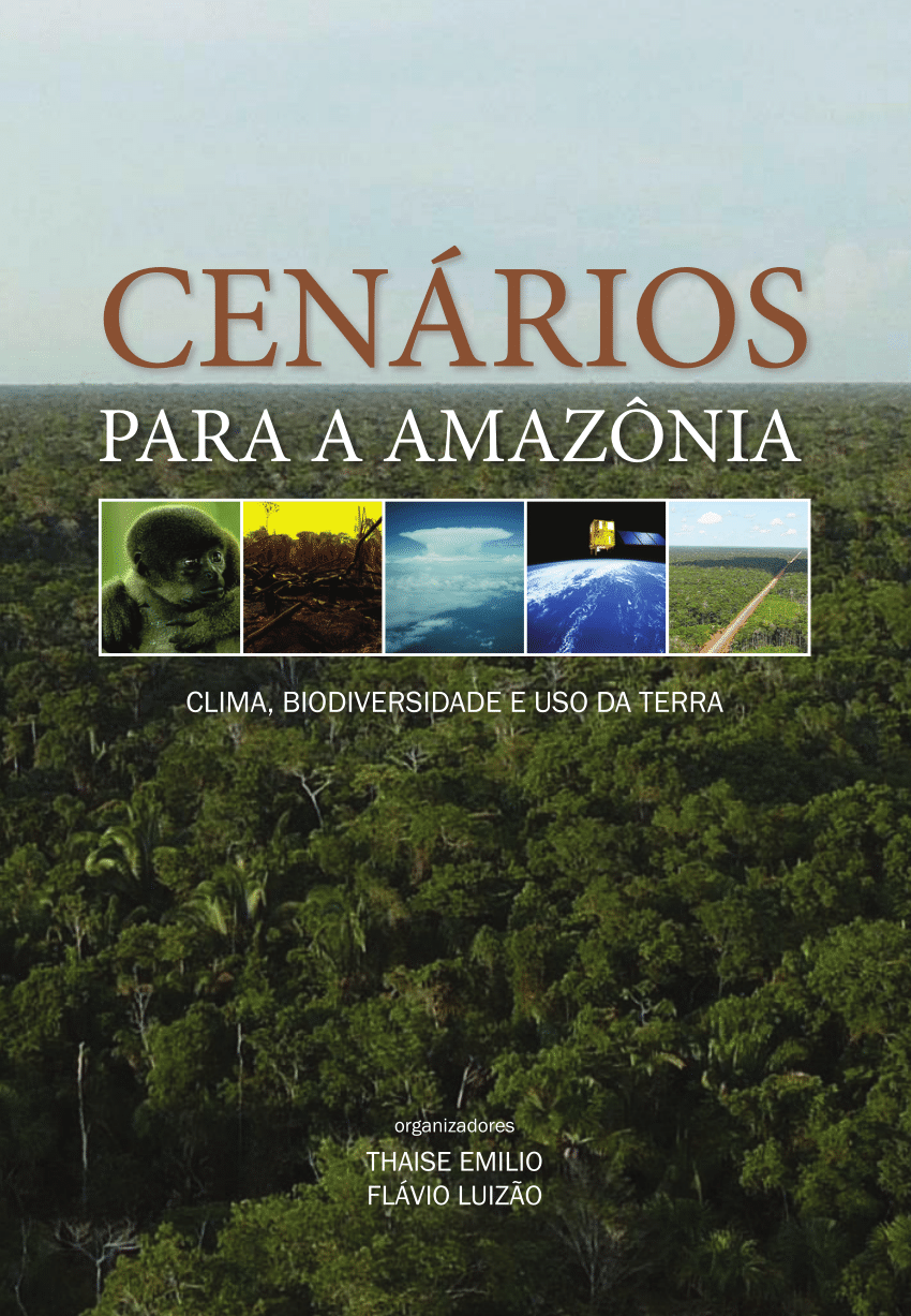 Região Trans-Purus, a última floresta intacta: 4 – A ameaça da rodovia BR- 230 - Amazônia Real