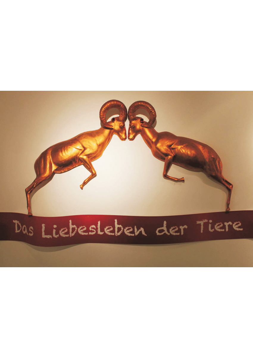 Pdf 1 1 Sex – Das Liebesleben Der Tiere Eine Ausstellung Des