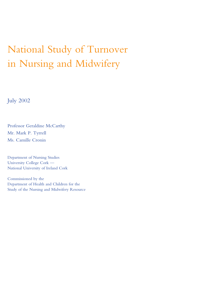 a literature review of nursing turnover costs