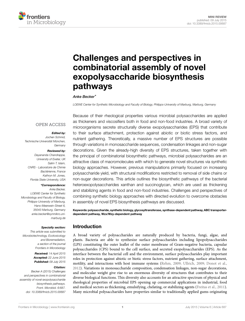 thesis on exopolysaccharide pdf