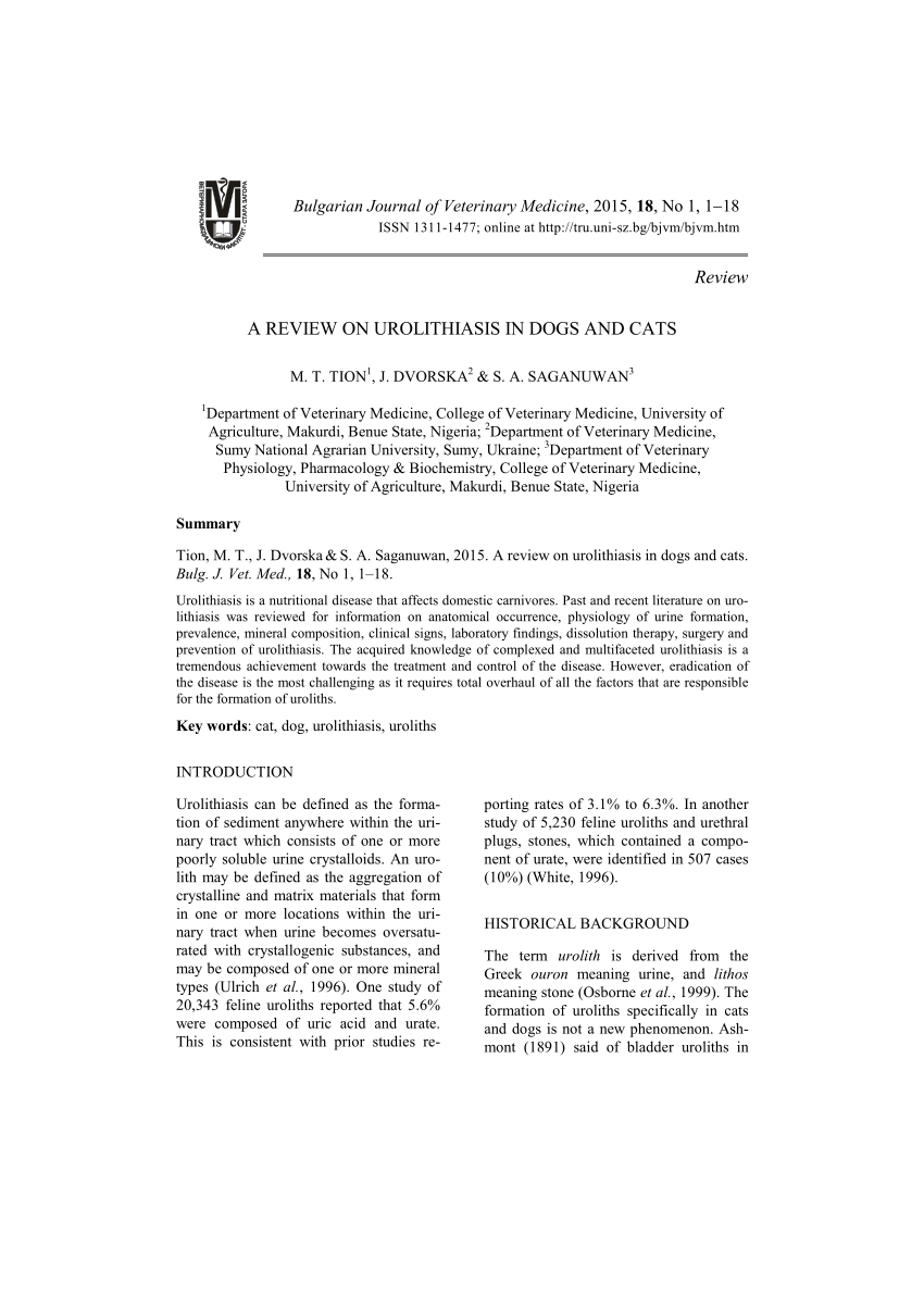 Jurnal Sistem Urinaria - Id Y Evangelizar A Los Bautizados ...