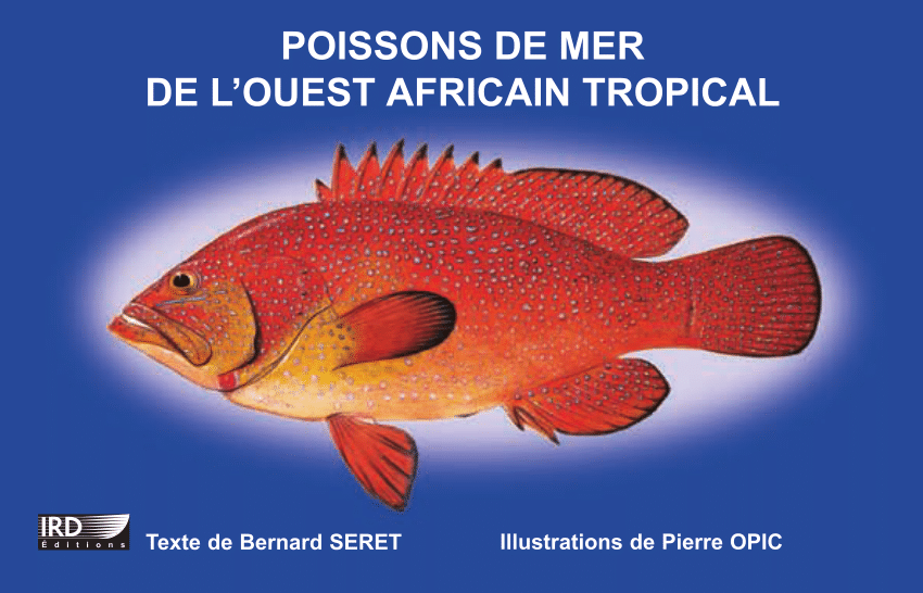 Pdf Poissons De Mer De L Ouest Africain Tropical