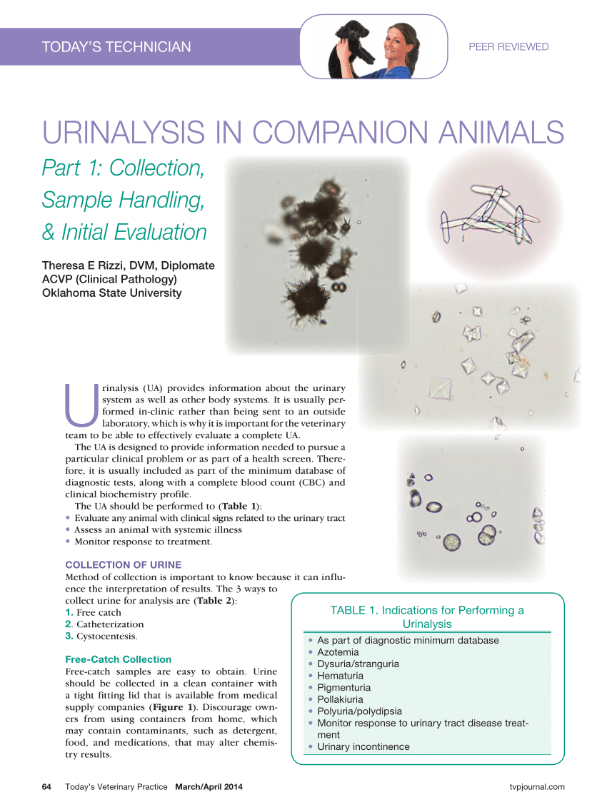 PDF) Urinalysis in companion animals Part 1