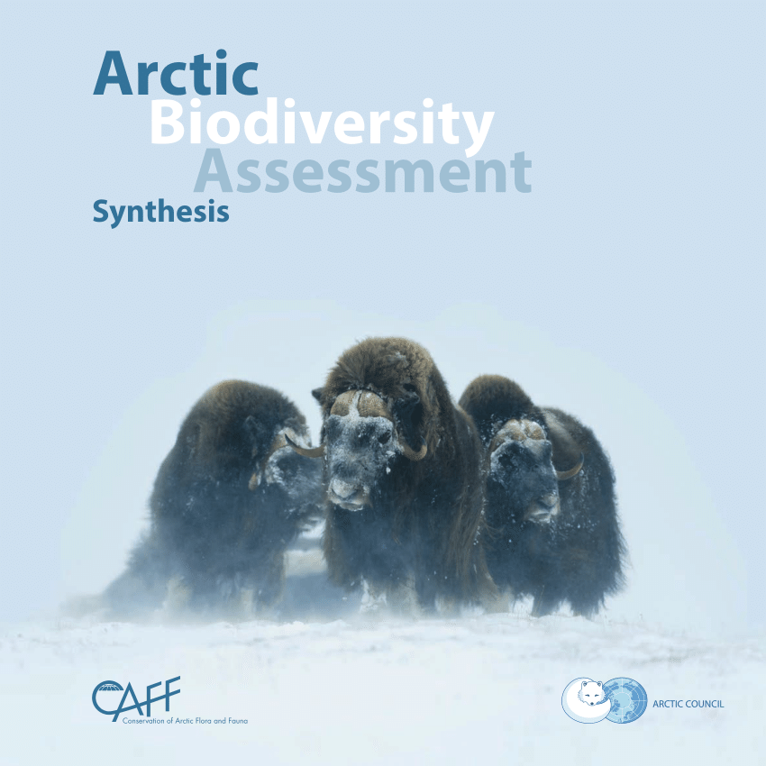 PDF) Arctic Biodiversity Assessment. Status and Trends in Arctic  Biodiversity: Synthesis