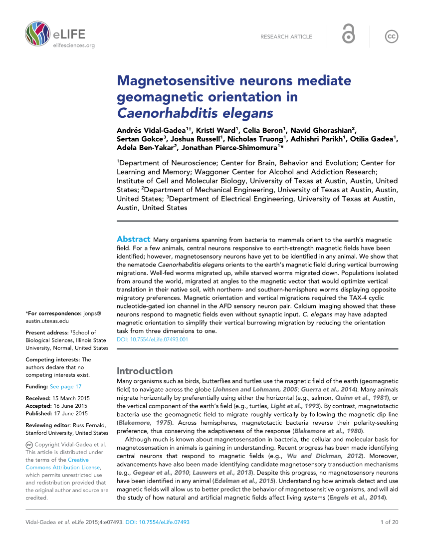 PDF) Magnetosensitive neurons mediate geomagnetic orientation in  Caenorhabditis elegans
