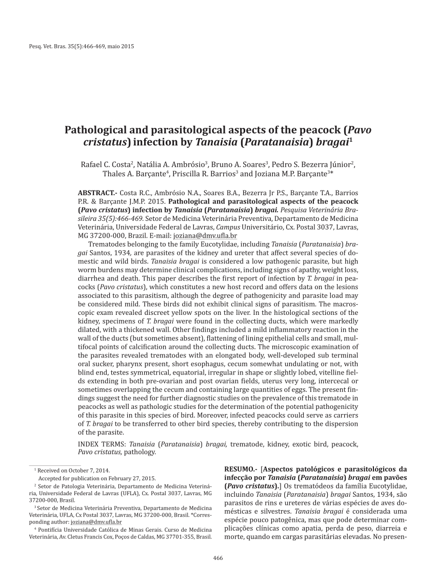 PDF) Pathological and parasitological aspects of the peacock (Pavo  cristatus) infection by Tanaisia (Paratanaisia) bragai