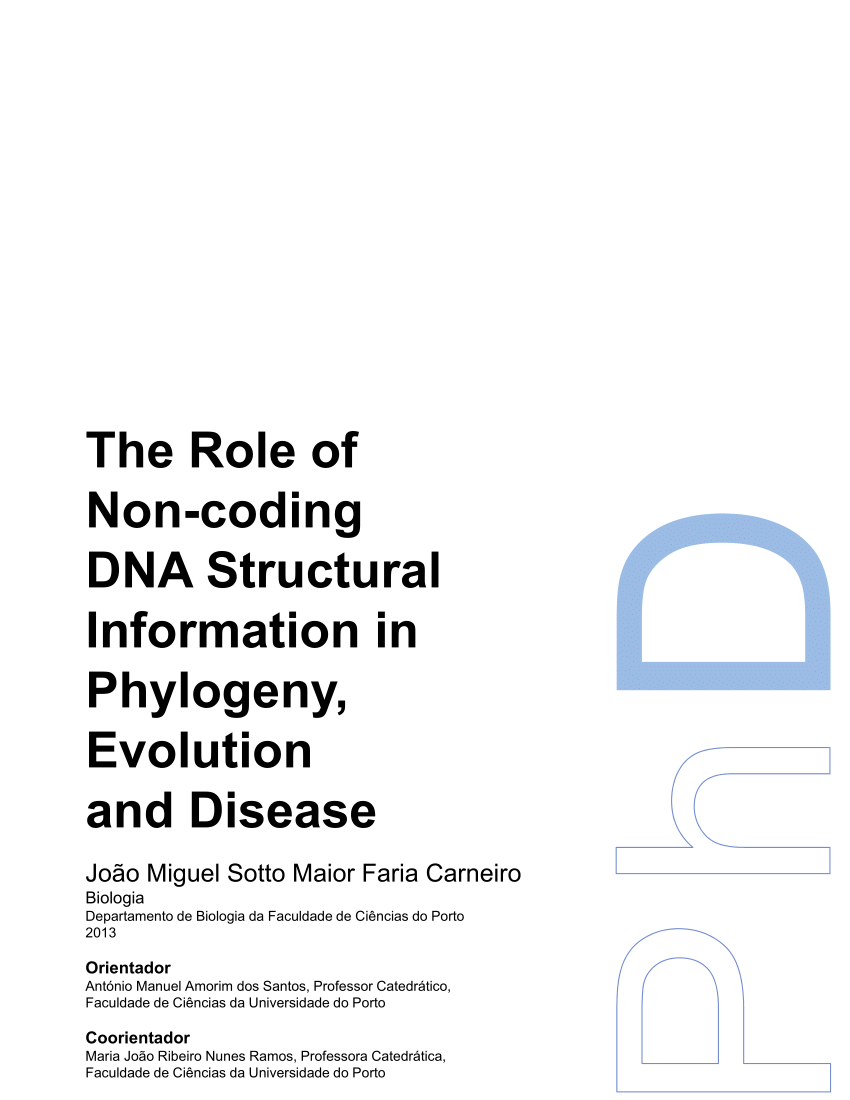 PDF) The Role of Non-coding DNA Structural Information in 