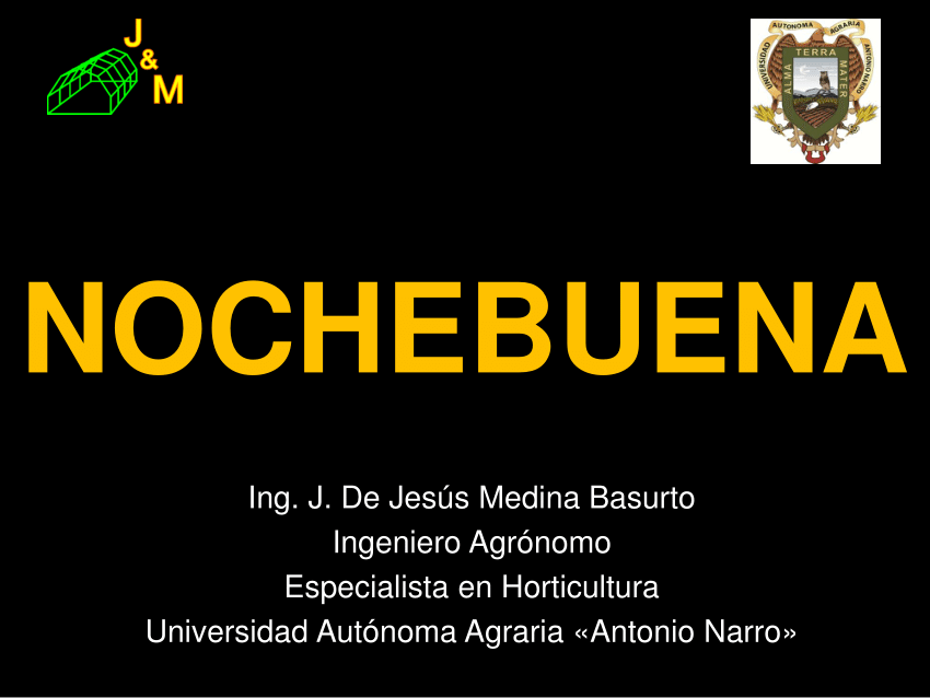 (PDF) NOCHEBUENA